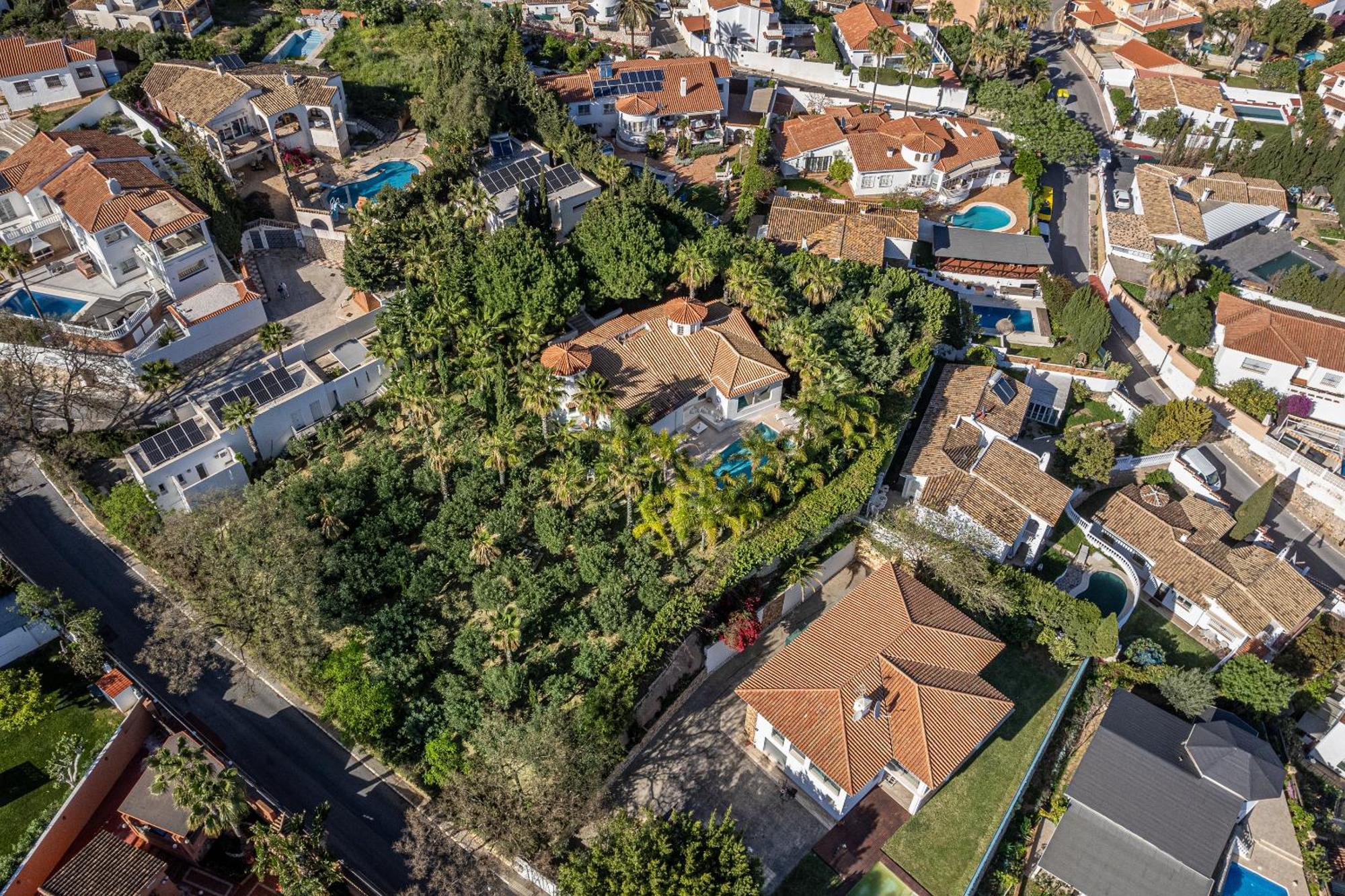 Villa Tess Coniferas